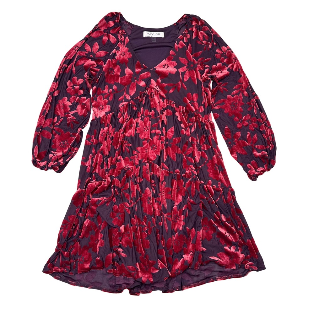 Taylor Dress Sz 10 Red‎ Floral Velvet Burnout Burgundy Whimsigoth Fairy Babydoll